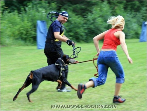 Summer training camp in Estonia 2007